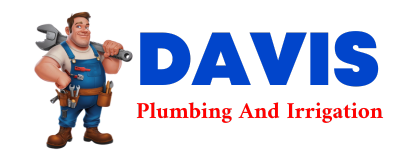 Trusted plumber in SWAN LAKE